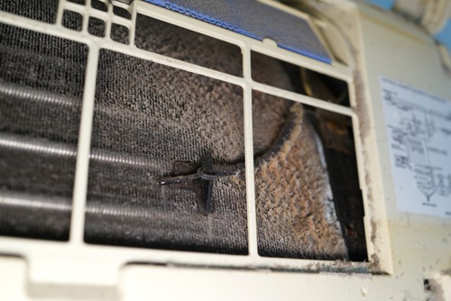 How To Prevent Mold and Mildew in Air Conditioner